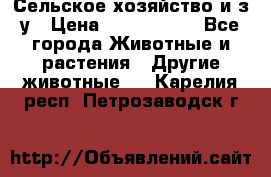 Сельское хозяйство и з/у › Цена ­ 2 500 000 - Все города Животные и растения » Другие животные   . Карелия респ.,Петрозаводск г.